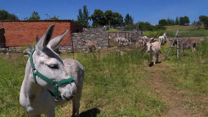 Aquí la Tierra - Aquí la tierra - 24/06/16