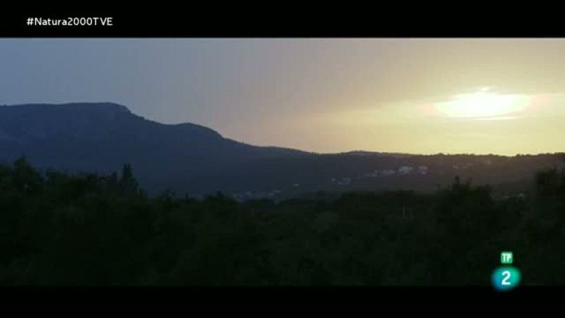 Red Natura 2000 - Aiguamolls d l'Alt Empordà - Jordi Sargatal. Camping Mascort