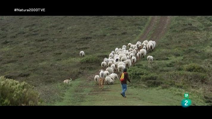 Red Natura 2000 - Liébana - Adrián