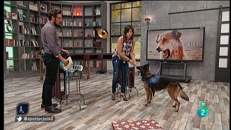A punto con La 2 - Animales en casa - Educar premiando