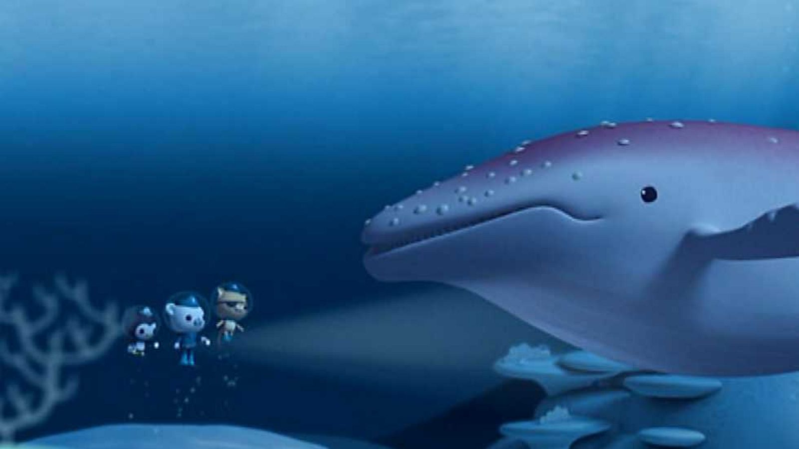 La ballena jorobada albina - Los Octonautas | Ver