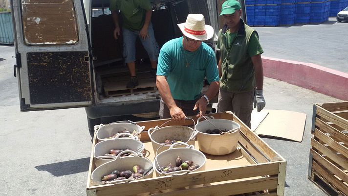 España Directo - Temporada de brevas