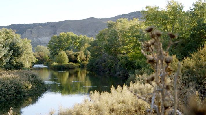 Red Natura 2000 - Cantiles del Jarama