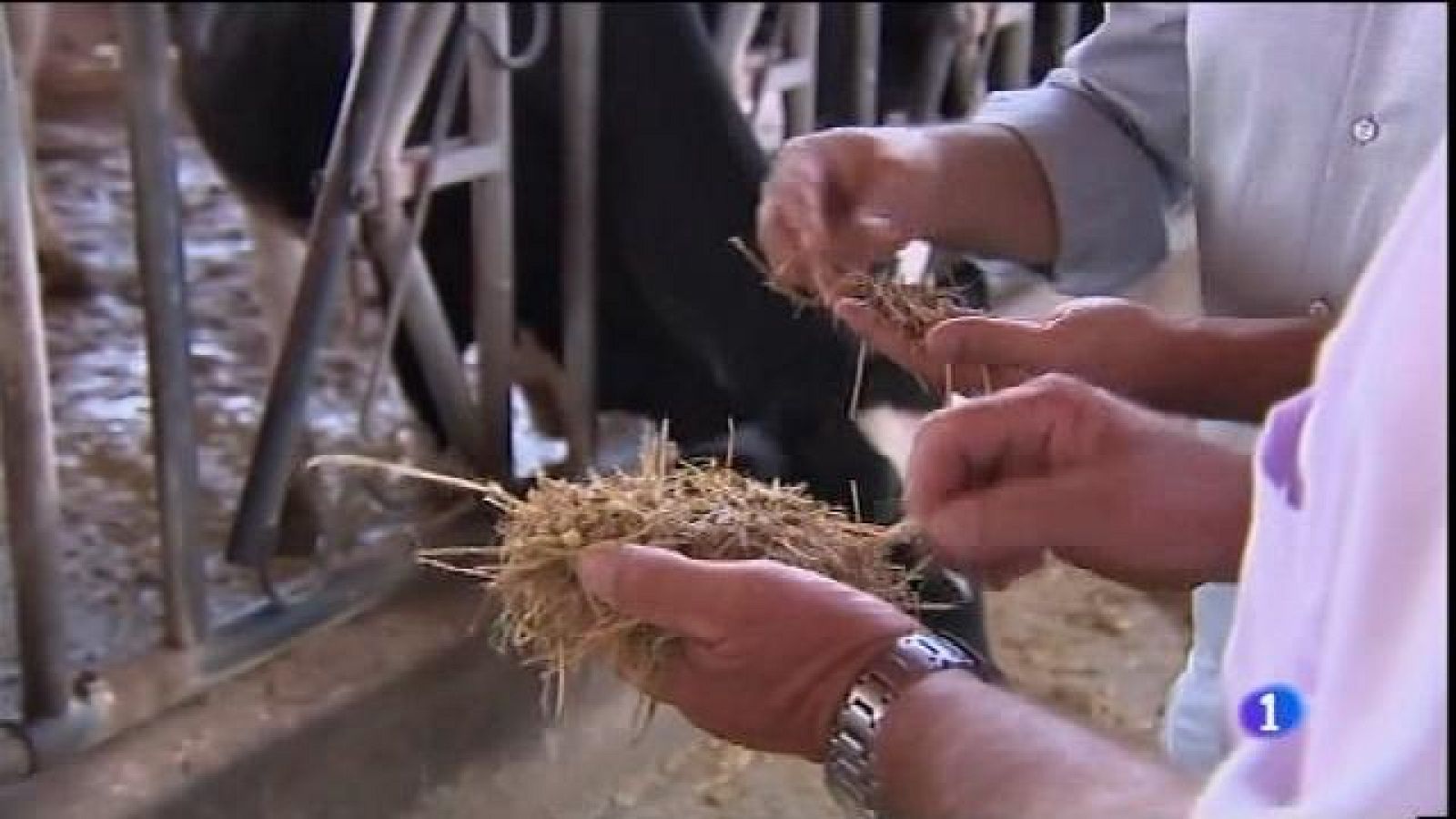 Informatiu Balear 2 - 28/06/16