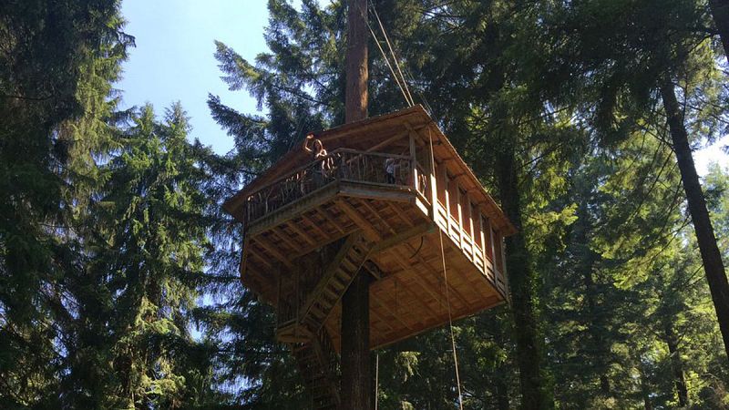 España Directo- Un hotel ¡en un árbol!