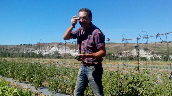 Aquí la Tierra - Lo que no sabías de los pepinillos