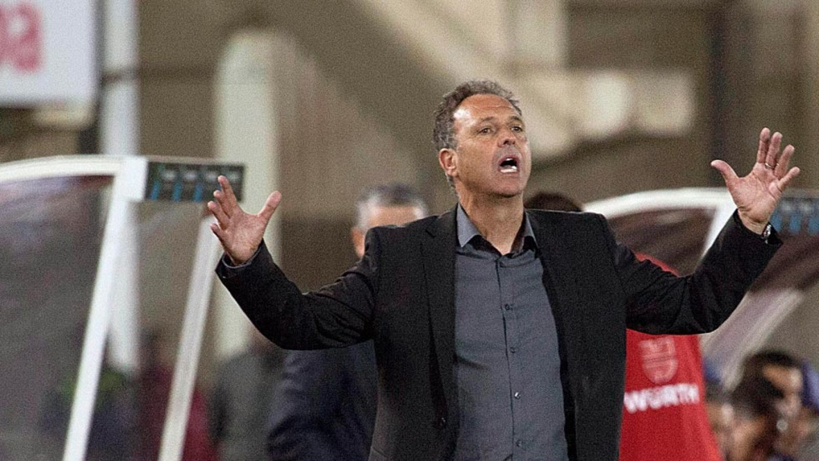 Caparrós, el favorito para sustituir a Del Bosque al frente de la Roja | Ver