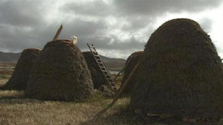Senderos isleños - Memoria de la isla