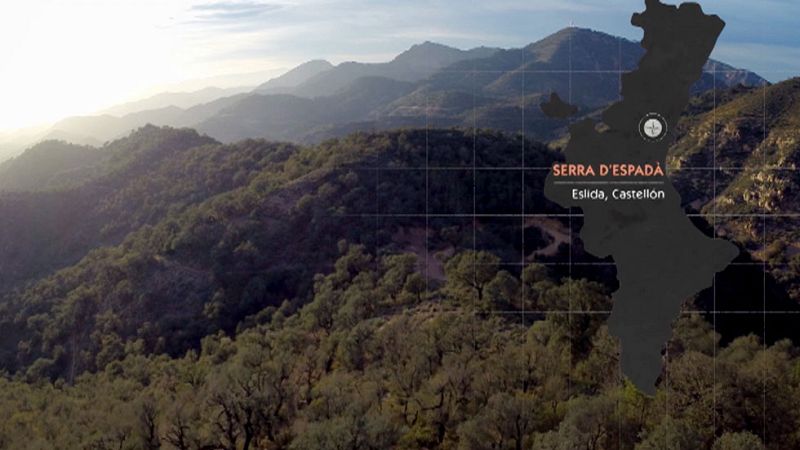 Red Natura 2000 - Serra d'Espadà