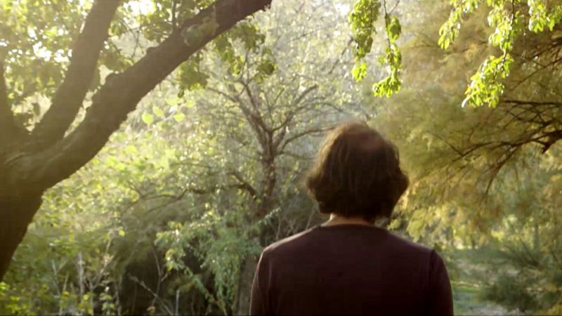 Red Natura 2000 - Cantiles y Cortados del Jarama - Avance