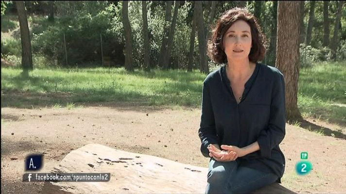 A punto con La 2 - Recuperar la serenidad