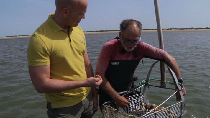 Aquí la Tierra - Coquinero, coquinero...