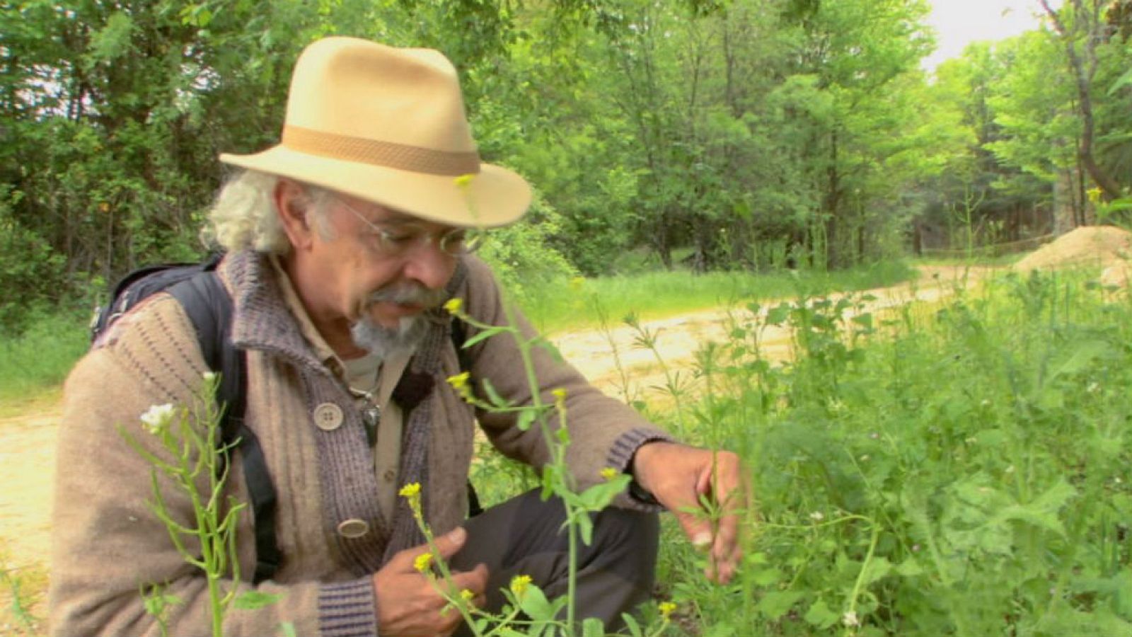 Juan Plantas y el amor de hortelano