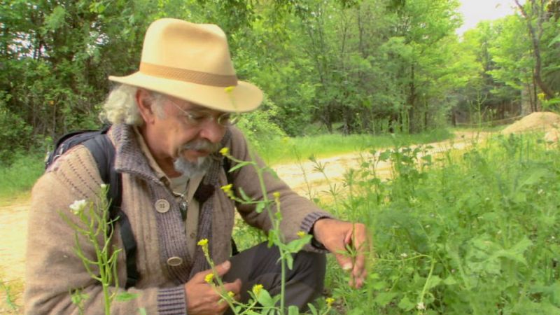 Juan Plantas y el amor de hortelano