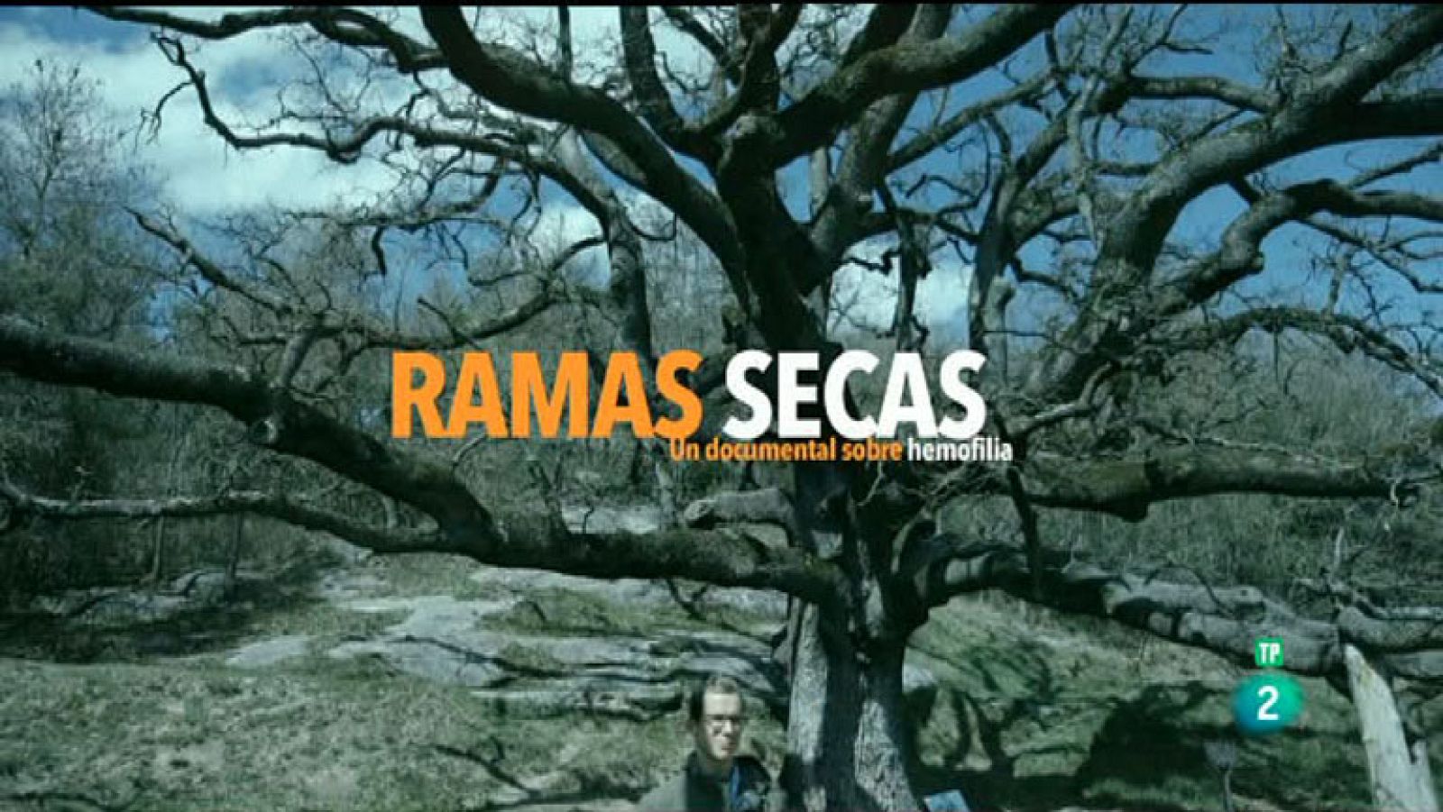 La Aventura del Saber. Hemofilia. Ramas Secas