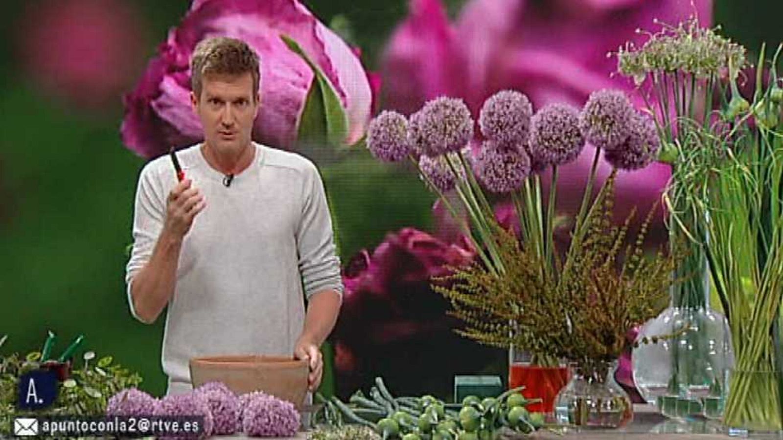 A punto con La 2 - 05/07/16 - ver ahora