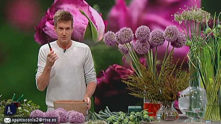 A punto con La 2 - A punto con La 2 - 05/07/16