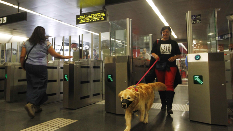 Los perros pueden viajar en el Metro de Madrid