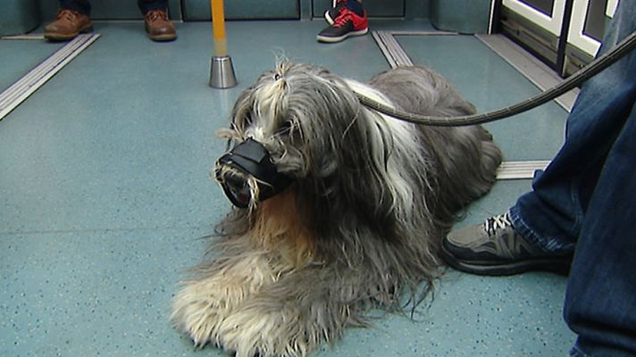 Informativo de Madrid - Informativo de Madrid 2 - 06/07/16