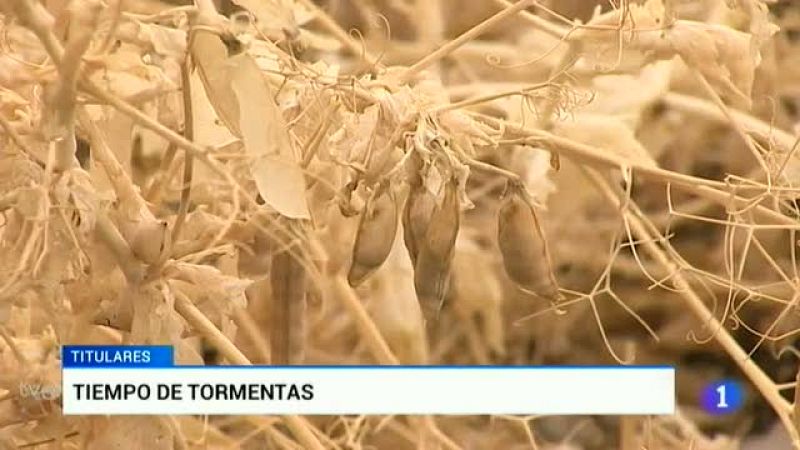 Castilla y León en 2' - 07/07/16