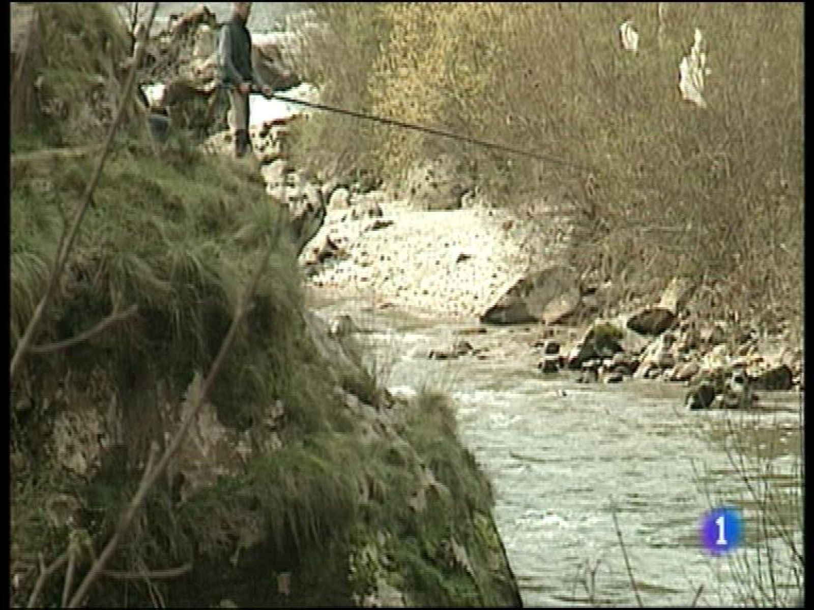 Panorama Regional 2 - 08/07/16 | Ver