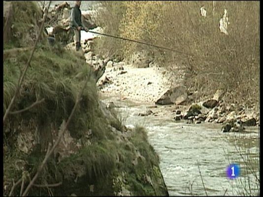 Panorama Regional - Panorama Regional 2 - 08/07/16