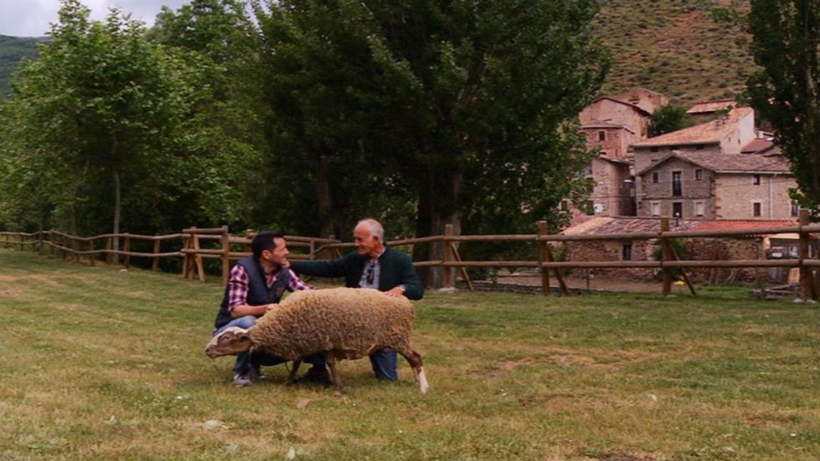 La fiesta del esquileo