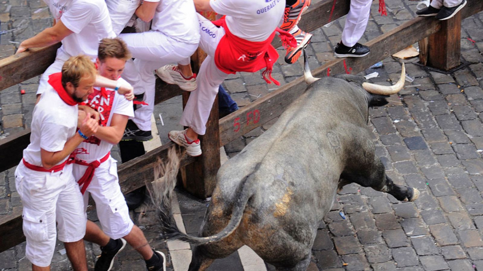 El toro vuelto en el tercer encierro de San Fermín 2016 ha hecho el recorrido en solitario