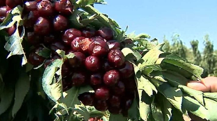 Agrosfera - Agrosfera - 09/07/16