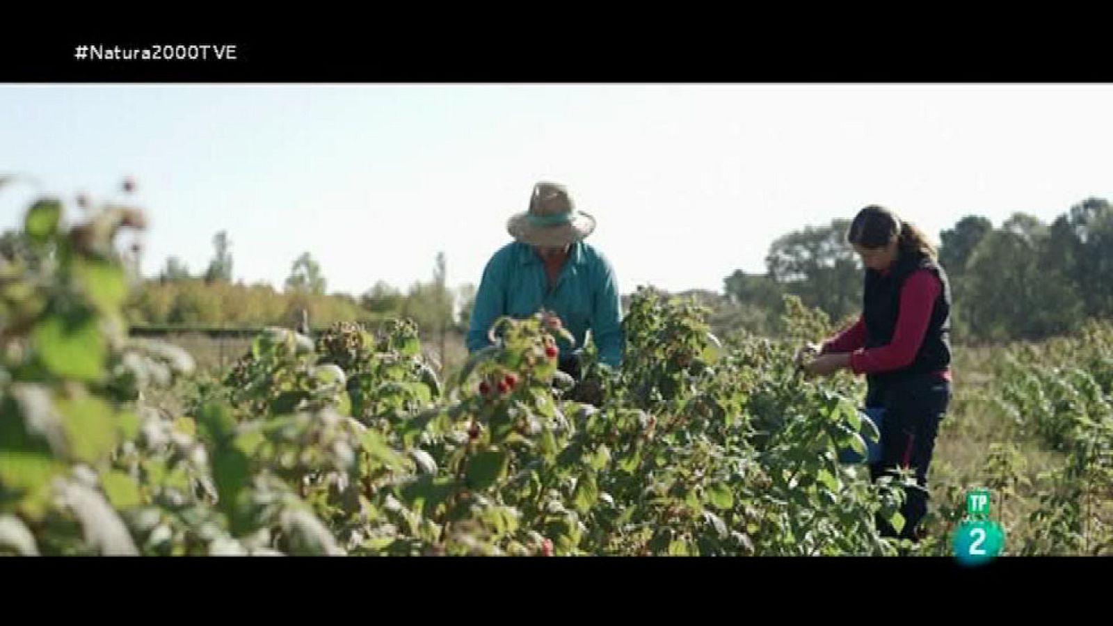 Red Natura 2000 - Montes Aquilanos y Sierra del Teleno: Manolo