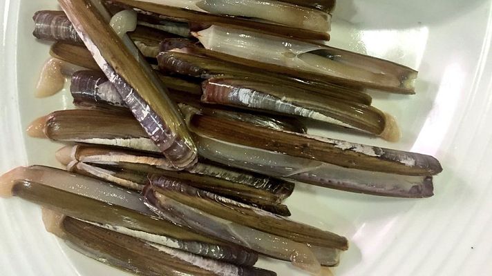 España Directo - Así se pescan las navajas