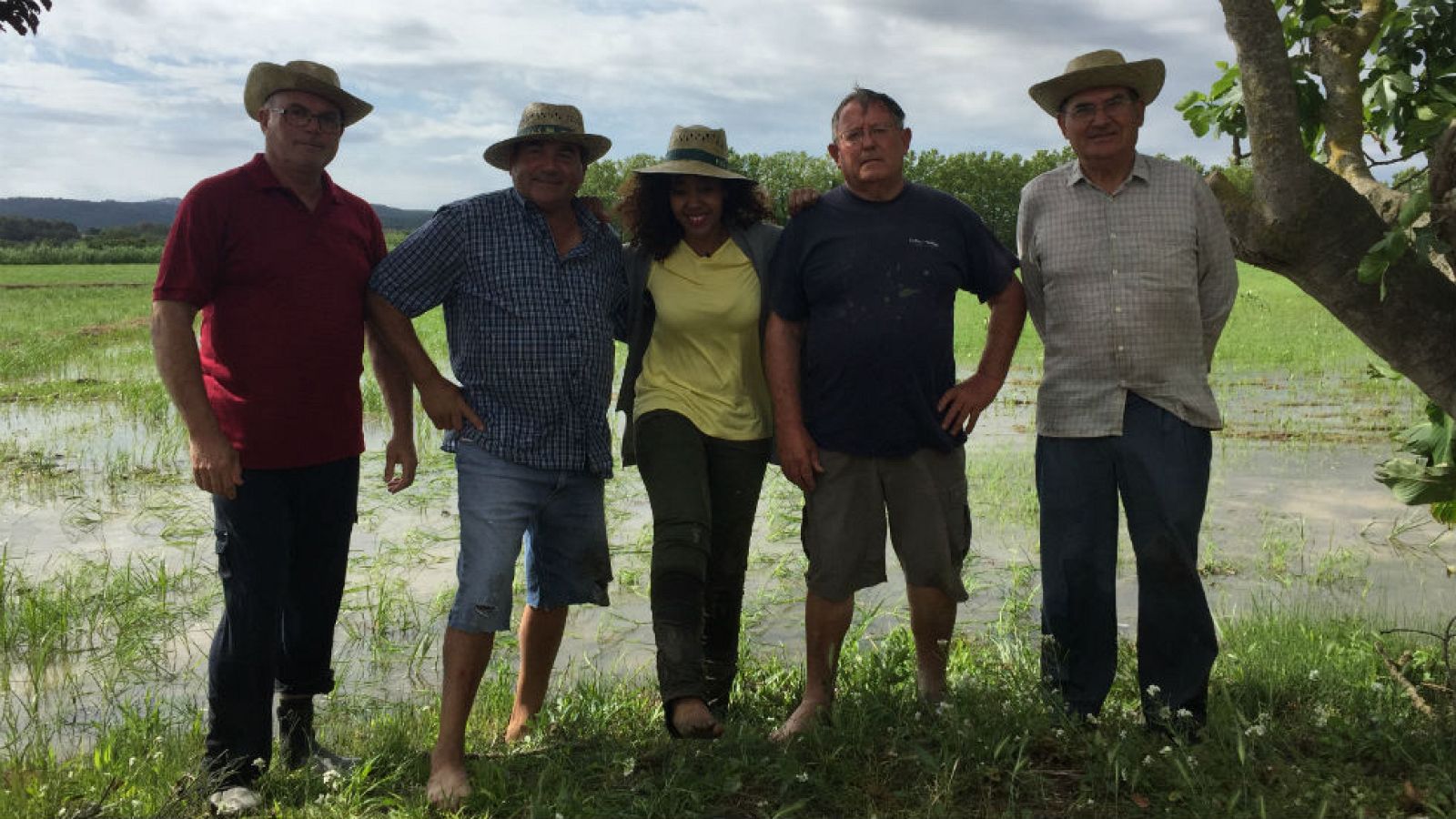 Aprendemos cómo se planta el arroz