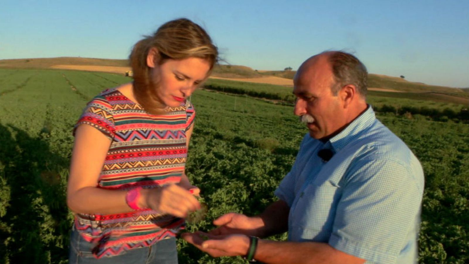 Guisantes fríos como el hielo