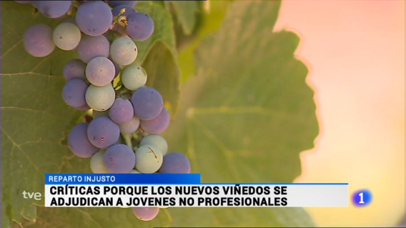 Informativo Telerioja - 12/07/16