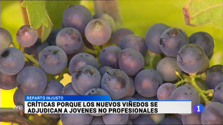 Informativo Telerioja - Informativo Telerioja 2 - 12/07/16