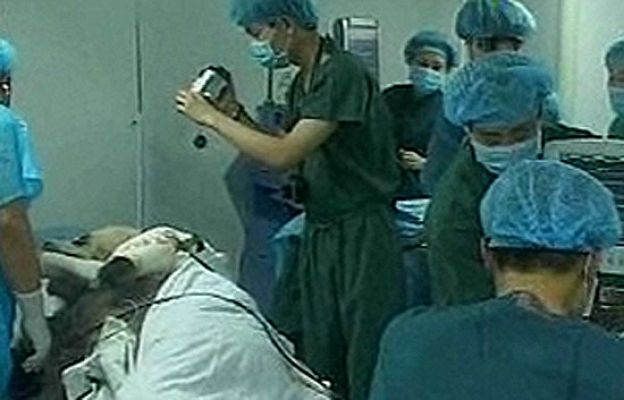 Ciencia y tecnología en Rtve.es - Operan de cataratas a un panda