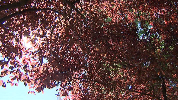 Informativo de Madrid - El Tiempo en la Comunidad de Madrid - 13/07/16