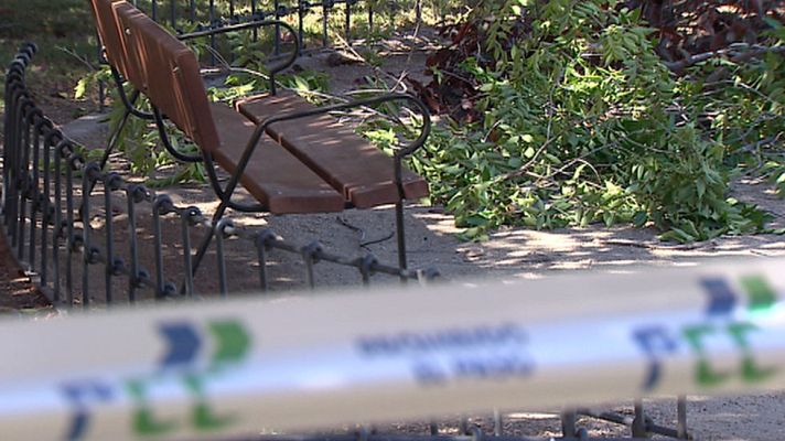 Informativo de Madrid - Informativo de Madrid - 13/07/16