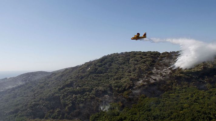 Telediario 1 - Estabilizados los incendios forestales del Campo de Gibraltar, en Cádiz