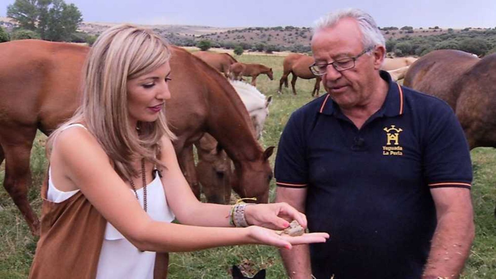 Aquí la Tierra - 13/07/16 - ver ahora