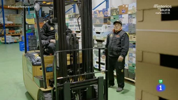 Trabajo temporal - Carlos Sobera se monta en el toro