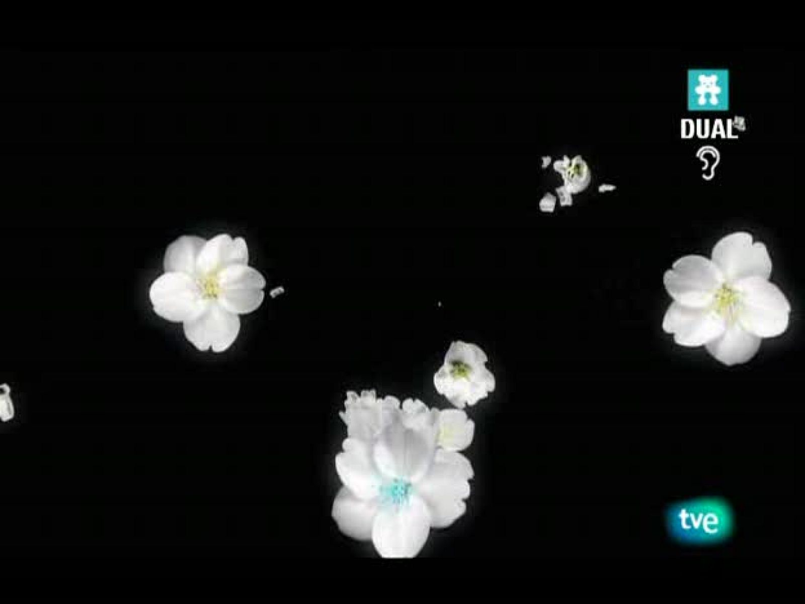 El jardín de los sueños - El Jardín de los Sueños | Ver