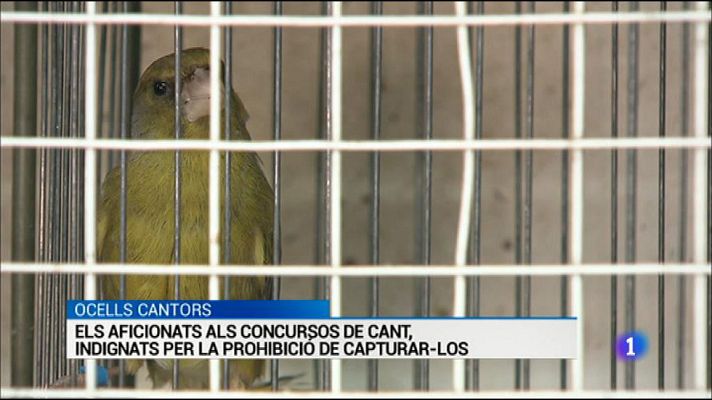 L'Informatiu - L'Informatiu - 14/07/16