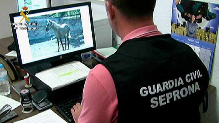 Telediario 1 - La Audiencia Provincial de Alicante pone en marcha un programa de reeducación para los condenados por maltrato animal