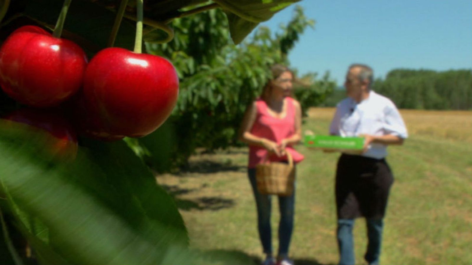 El valle de Etxauri sabe a cereza