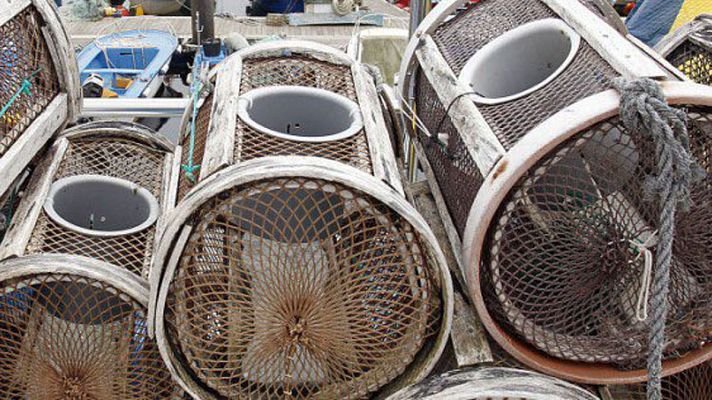 España Directo - La pesca del pulpo