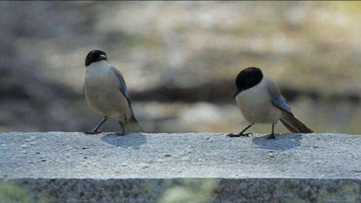 Aquí la Tierra - La elegancia en el campo
