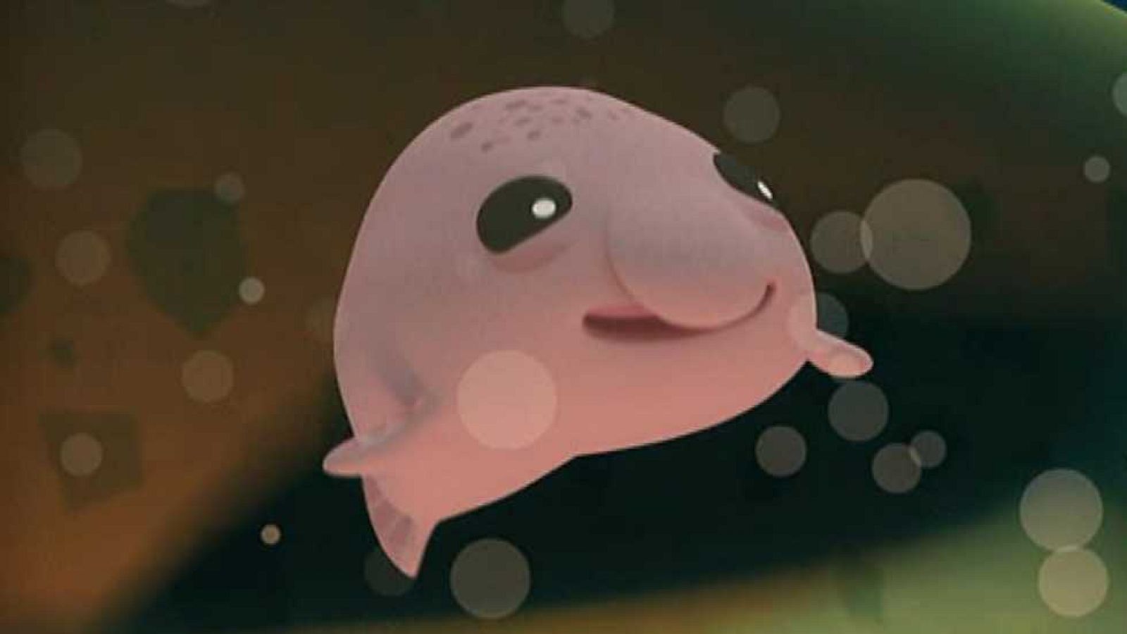 Los hermanos Borron - Los Octonautas | Ver