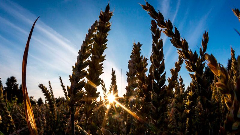 Se acerca la que podría ser la primera ola de calor del verano