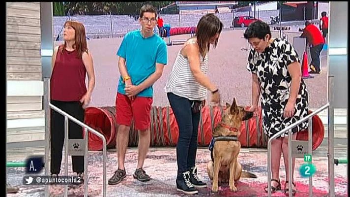 A punto con La 2 - Circuitos para perros y sus guías